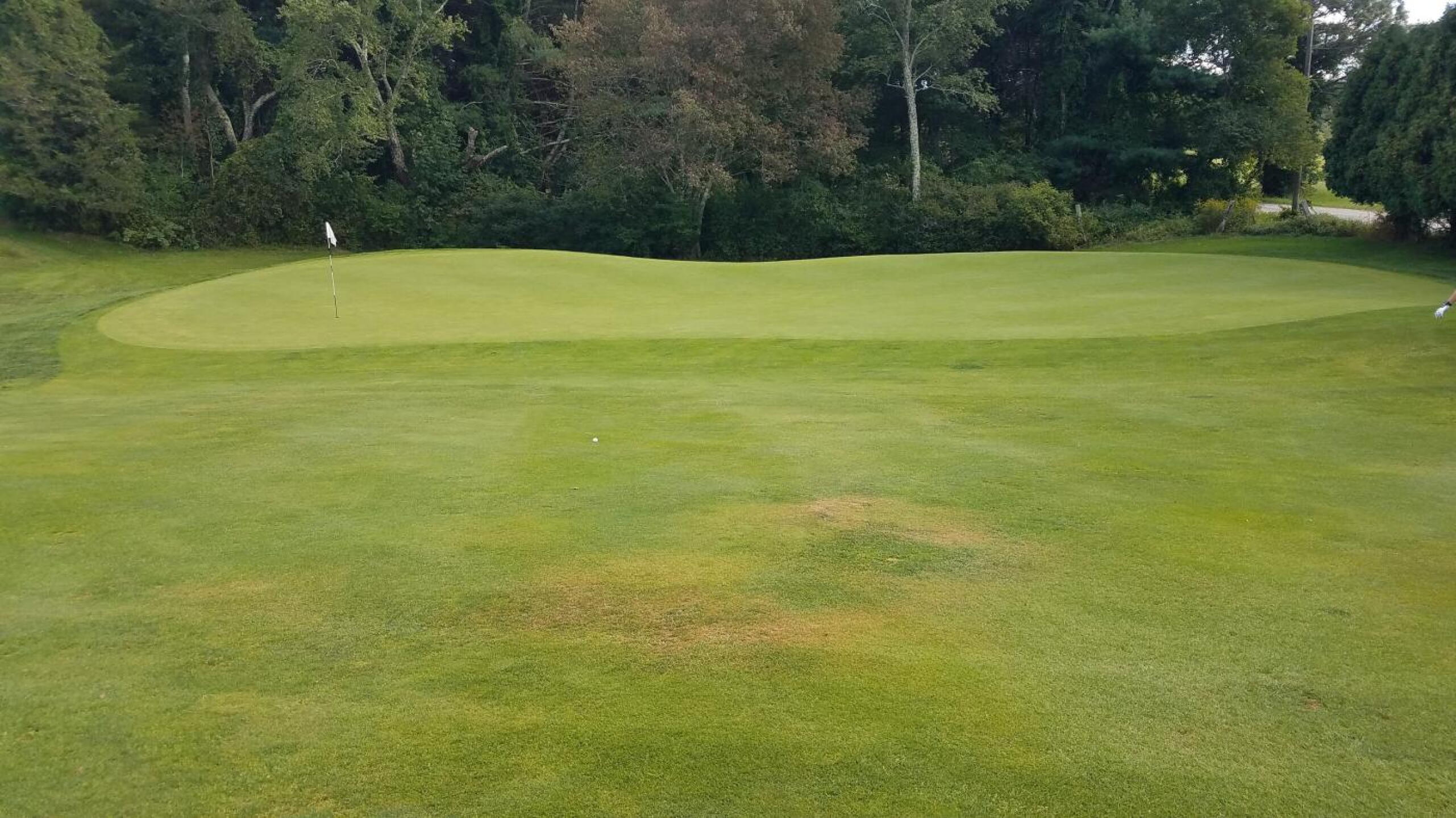 From the preceding hilltop, the tenth green. (Photo submitted by AptlyLinked on 09/12/2019)