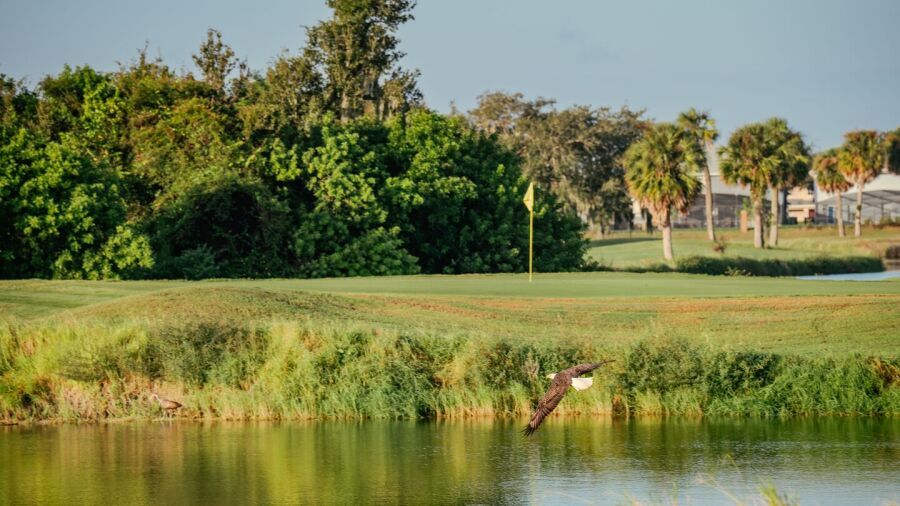 Remington GC