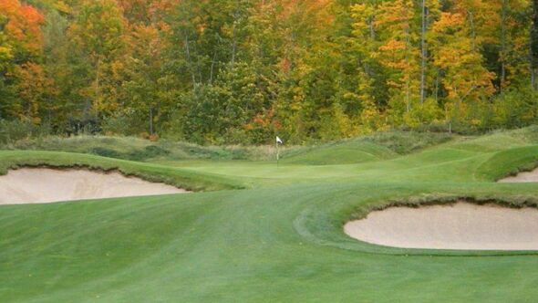 Greywalls at Marquette GC: #11