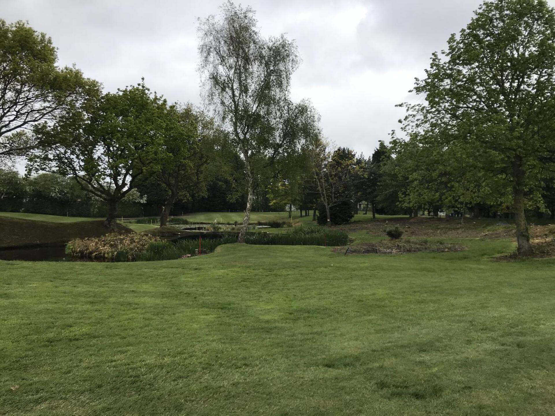 (Photo submitted by Beckett351 on 05/29/2021)