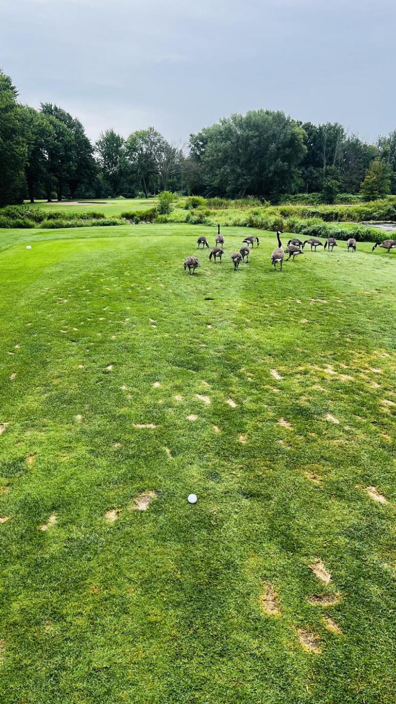 (Photo submitted by u314164604863 on 07/30/2024)