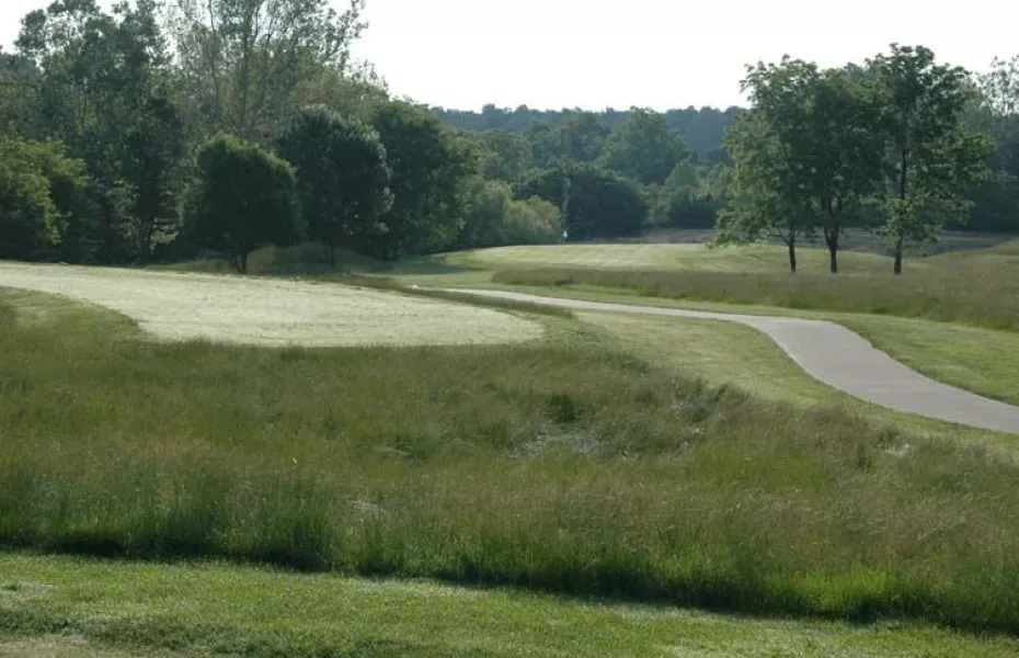Stone Crest GC - West Nine: #8