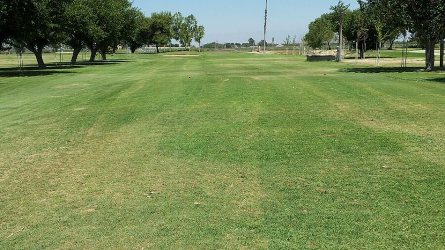 Delano GC