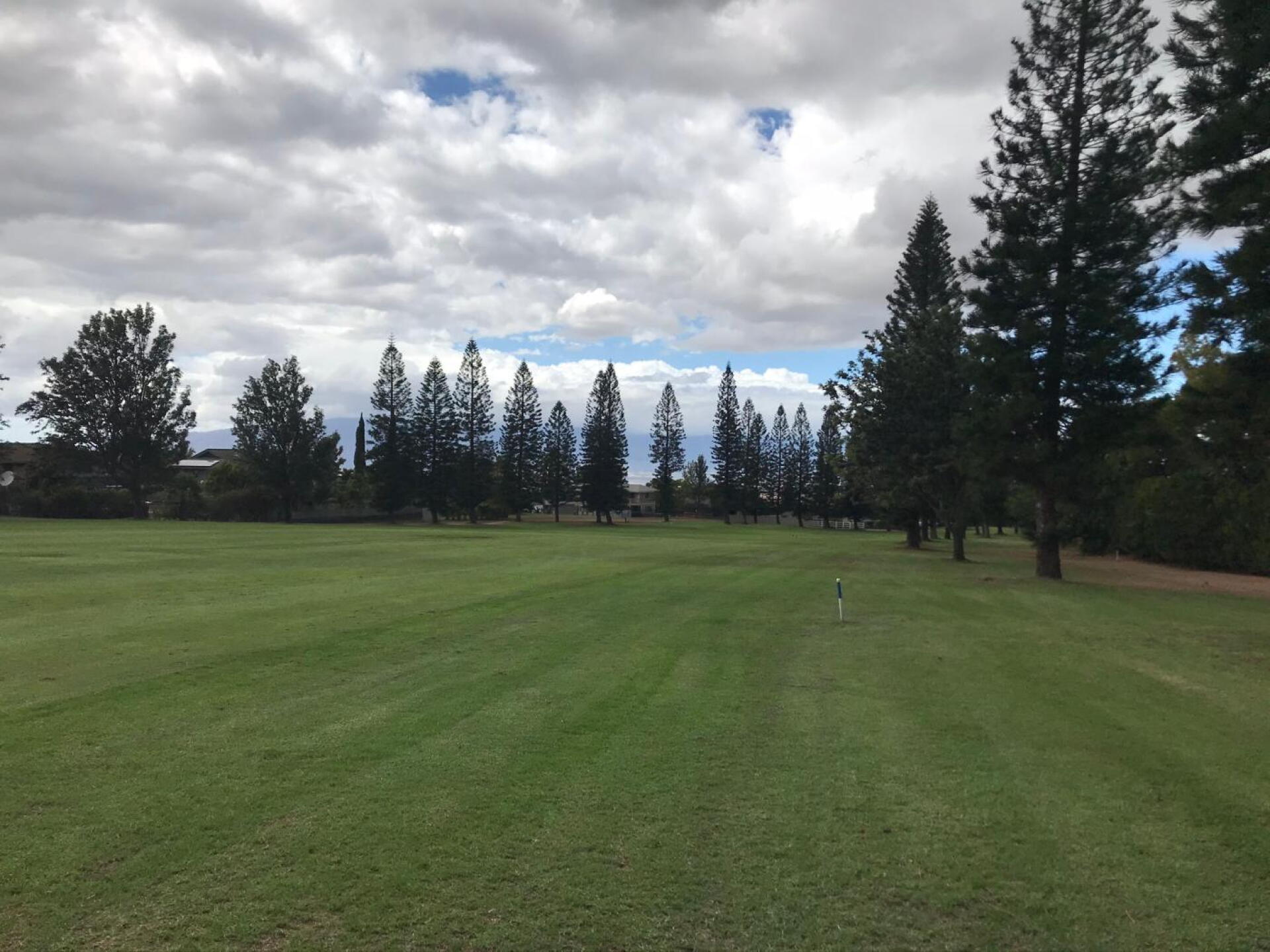 (Photo submitted by u698535498 on 11/20/2019)