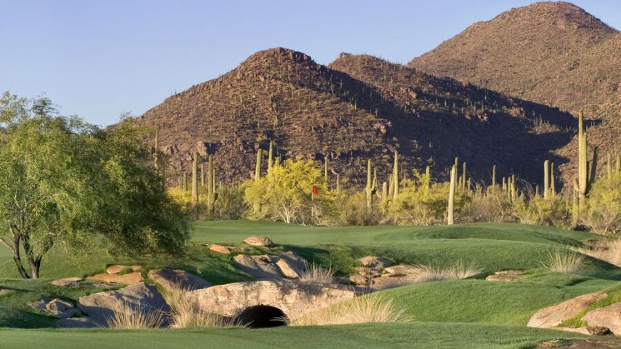 Gallery Golf Club - South: #10