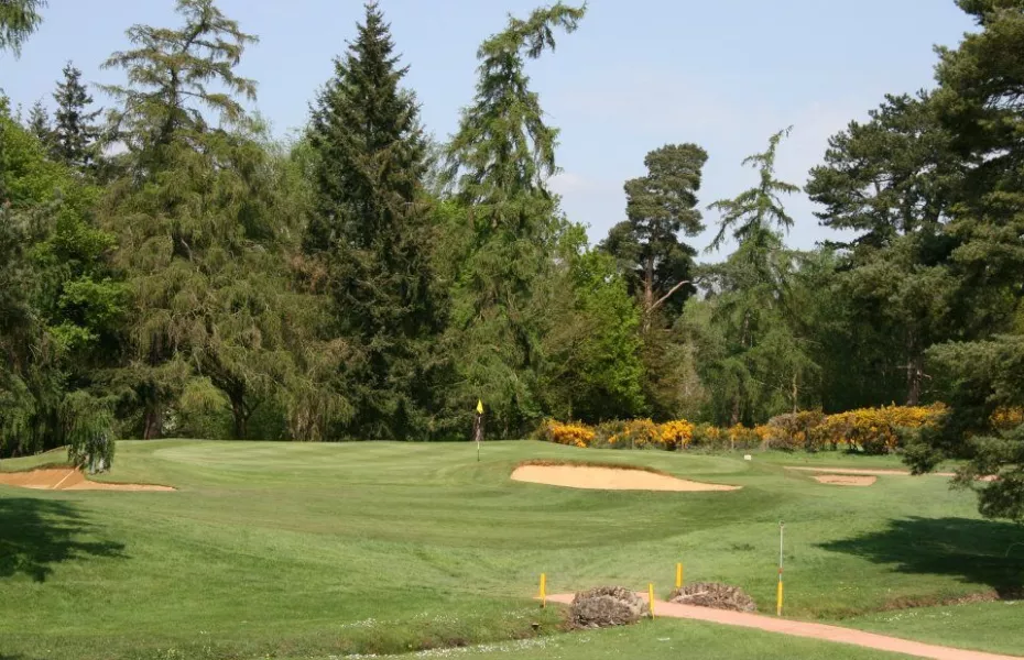 Frilford Heath GC - Green: #6