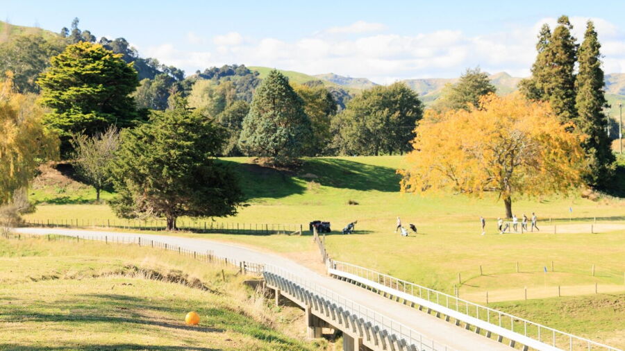 Tahunga GC