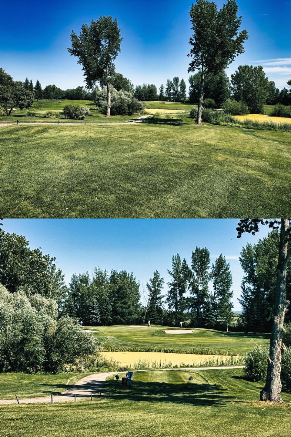 Meadow Lake GC, Hole 12, Par 3, 166 yds (Photo submitted by DYakimec on 08/29/2026)
