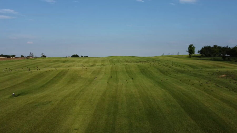 Bucharest GC: Driving range