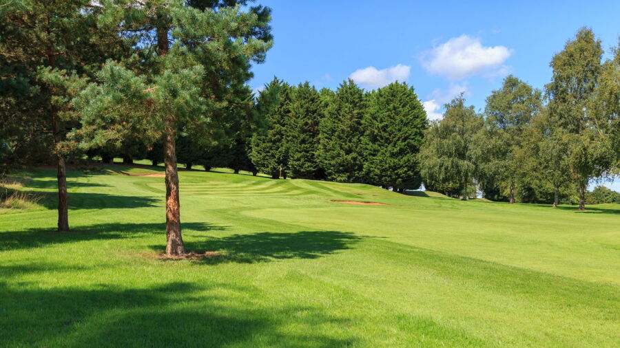 Knowle GC: #17