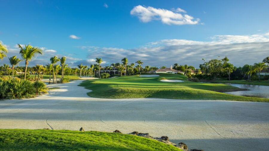 Grey Oaks CC - Palm