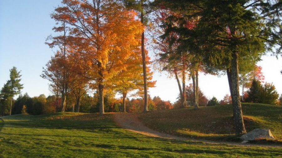Loudon CC: #18