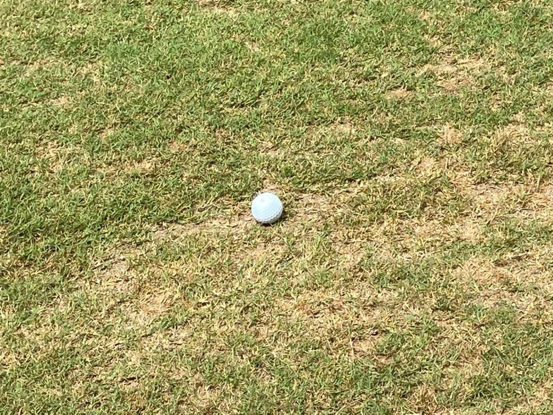 Fairway conditions (Photo submitted by chefgilly on 06/06/2021)
