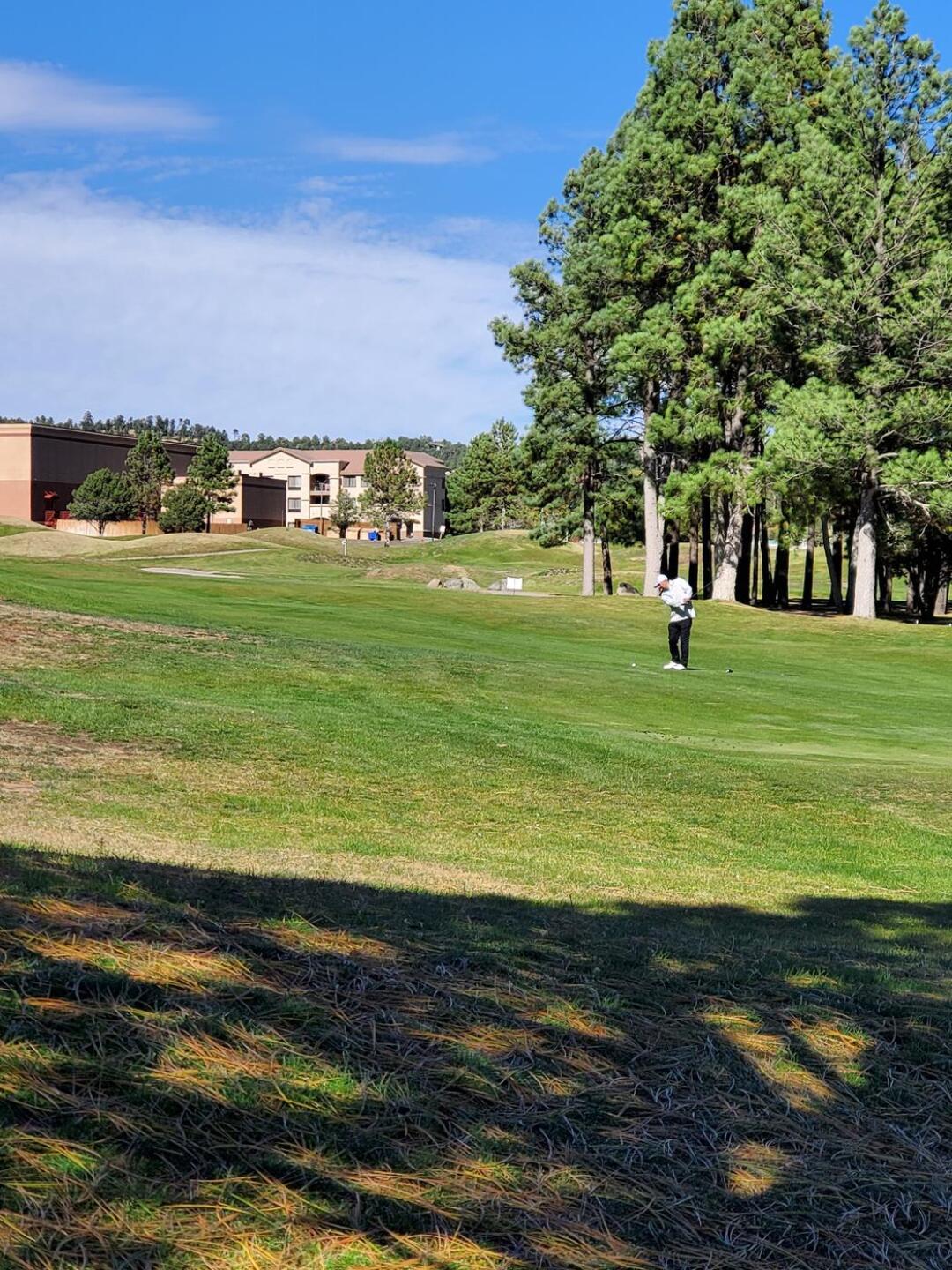 (Photo submitted by u367158439 on 10/12/2021)