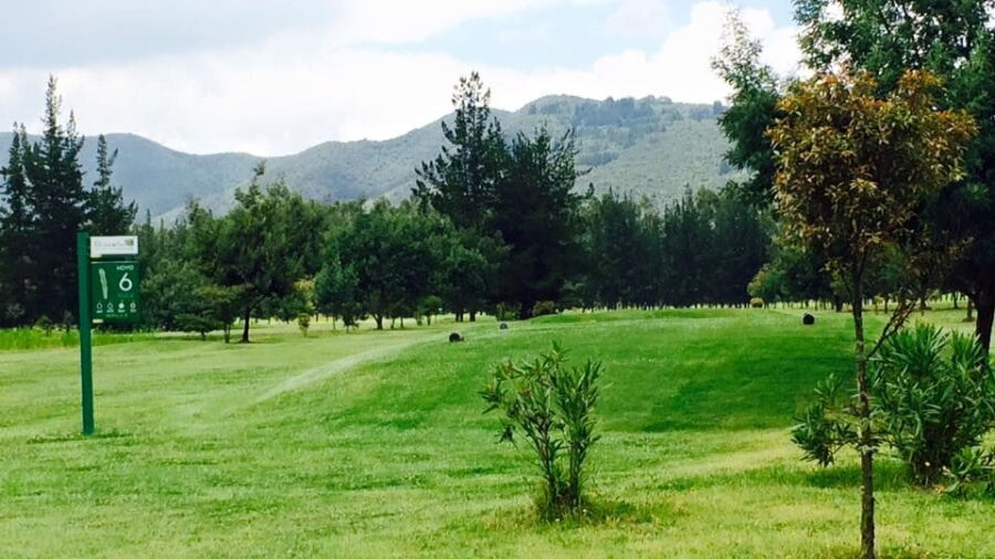 Briceno GC: #6