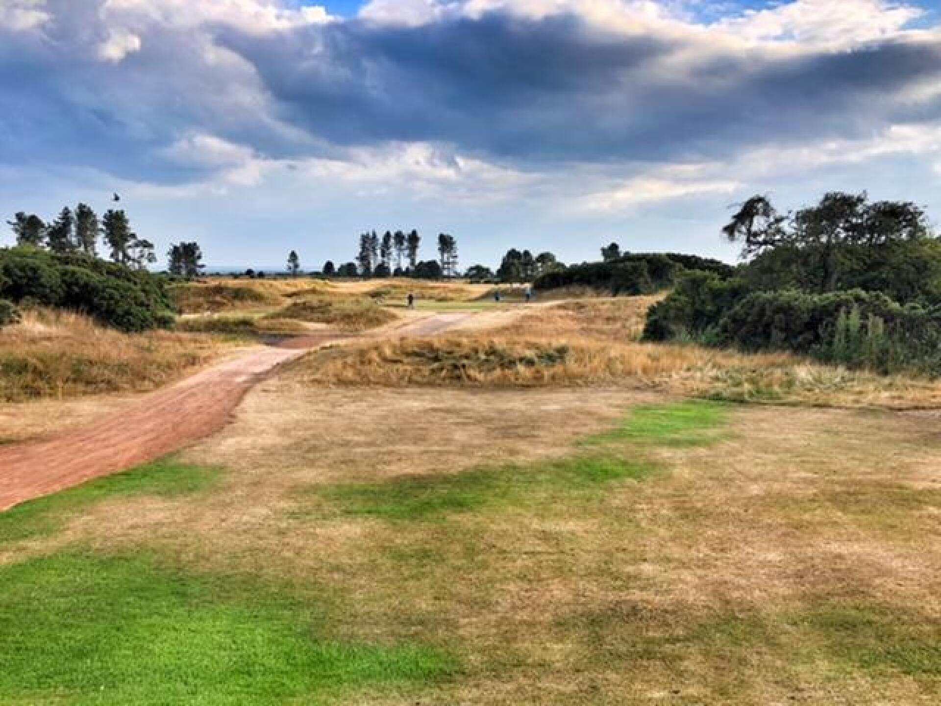 (Photo submitted by JayCoffinGC on 08/09/2018)