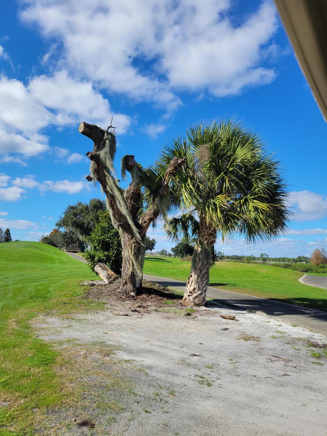 (Photo submitted by Scarantinom on 01/07/2022)