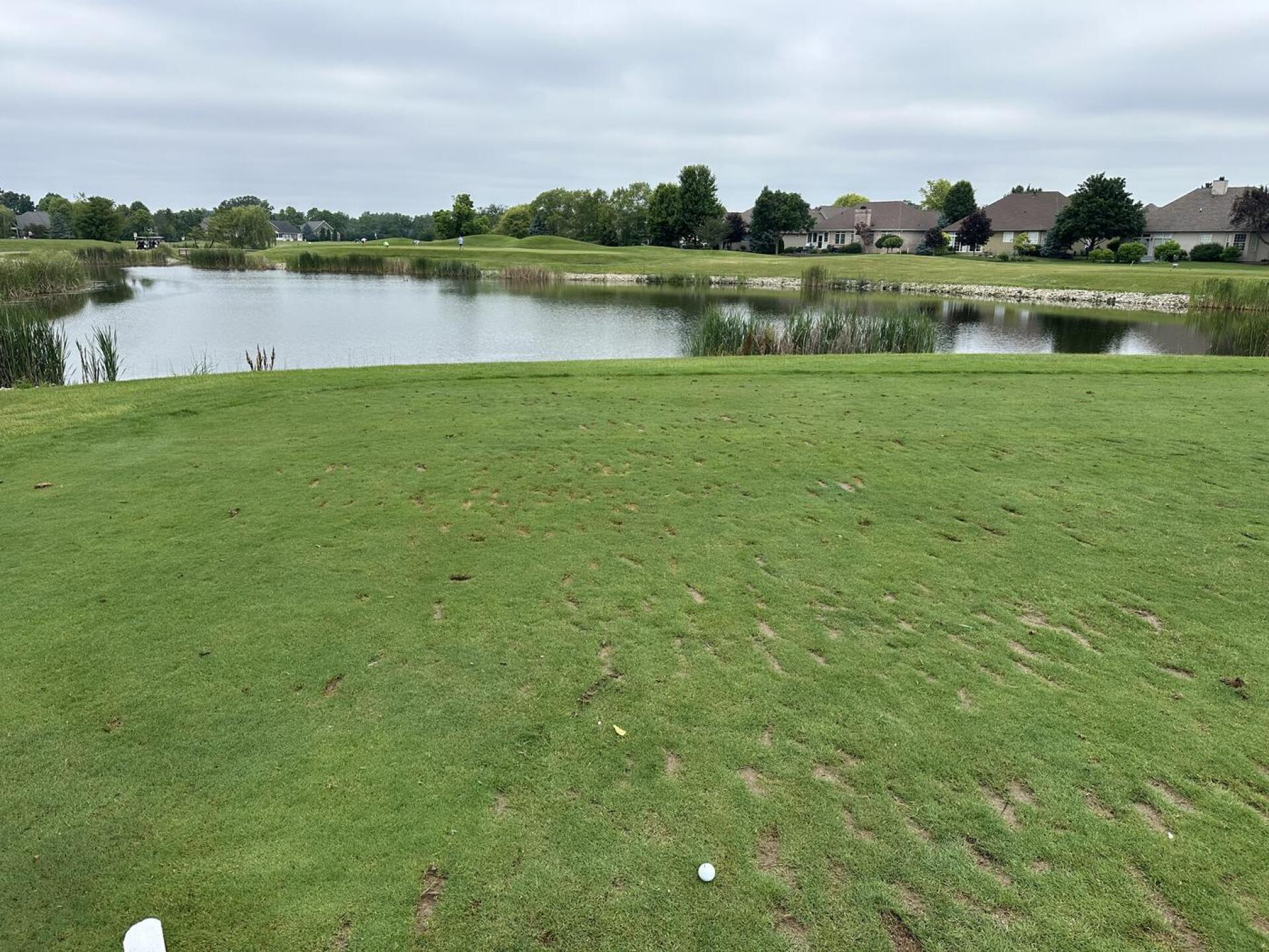 (Photo submitted by gscross0210 on 06/15/2025)