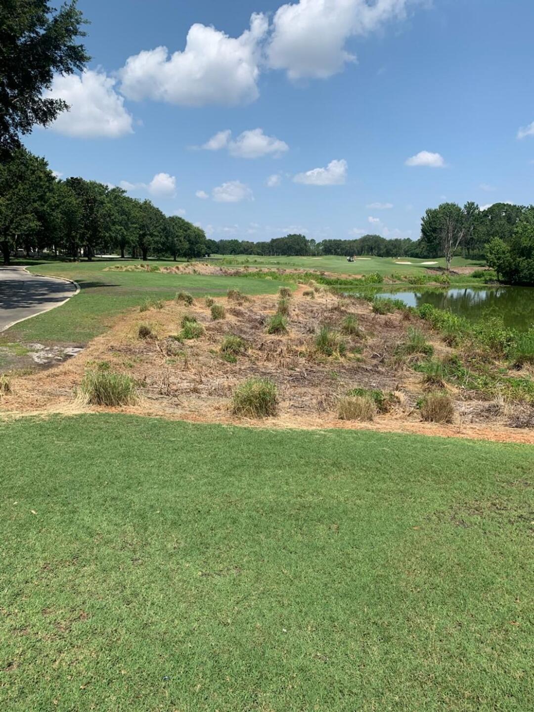 (Photo submitted by Sanford10 on 06/12/2023)