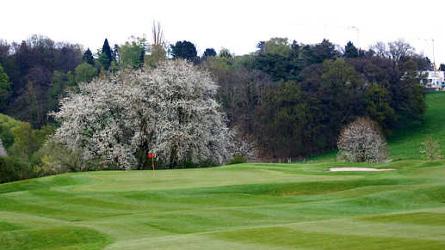 Duesseldorf-Grafenberg GC: #16