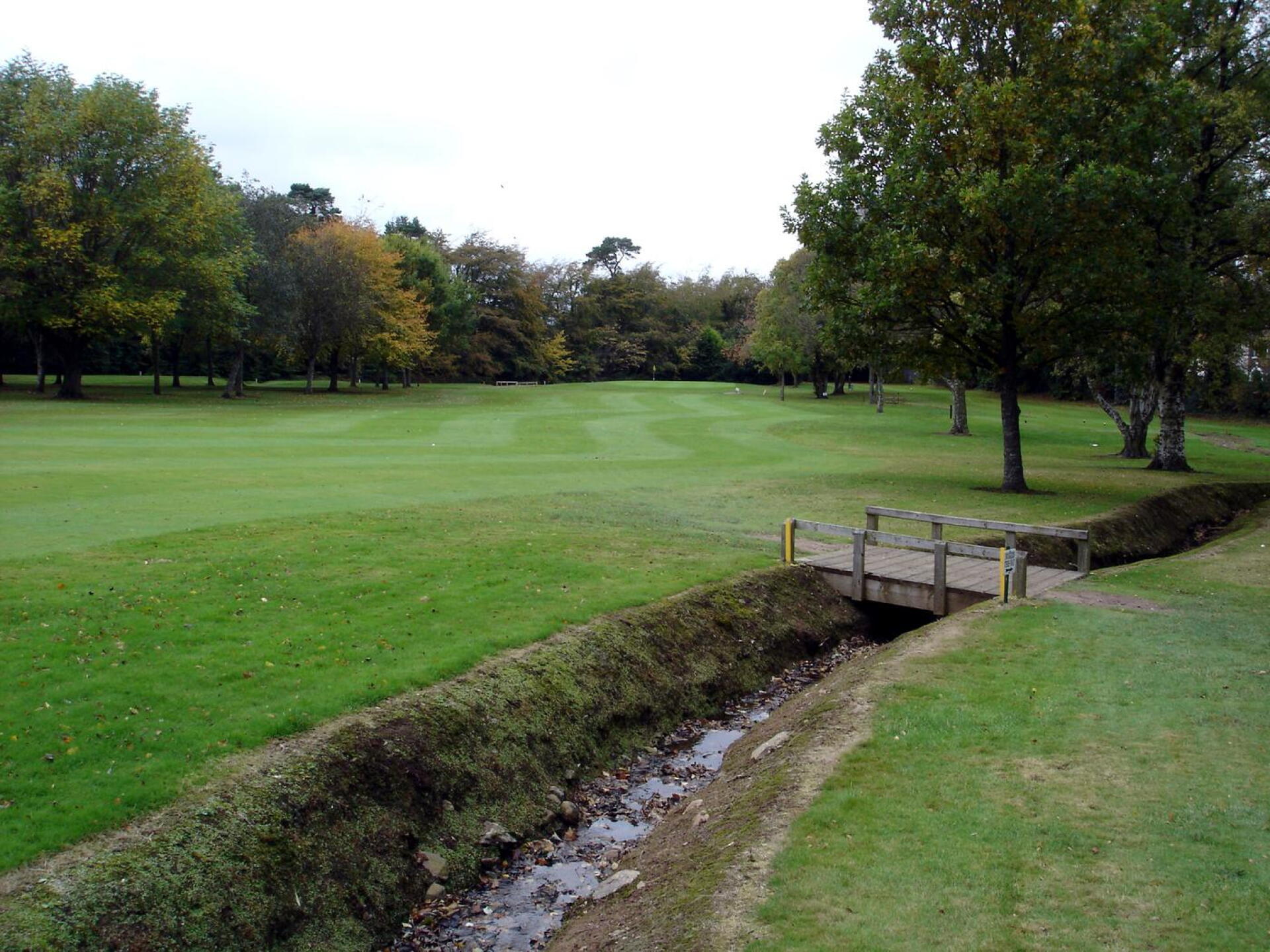Holywood GC, Hole 7, Old Oak, Par 5, 496 yds, 170 yds out (Photo submitted by DYakimec on 03/04/2016)