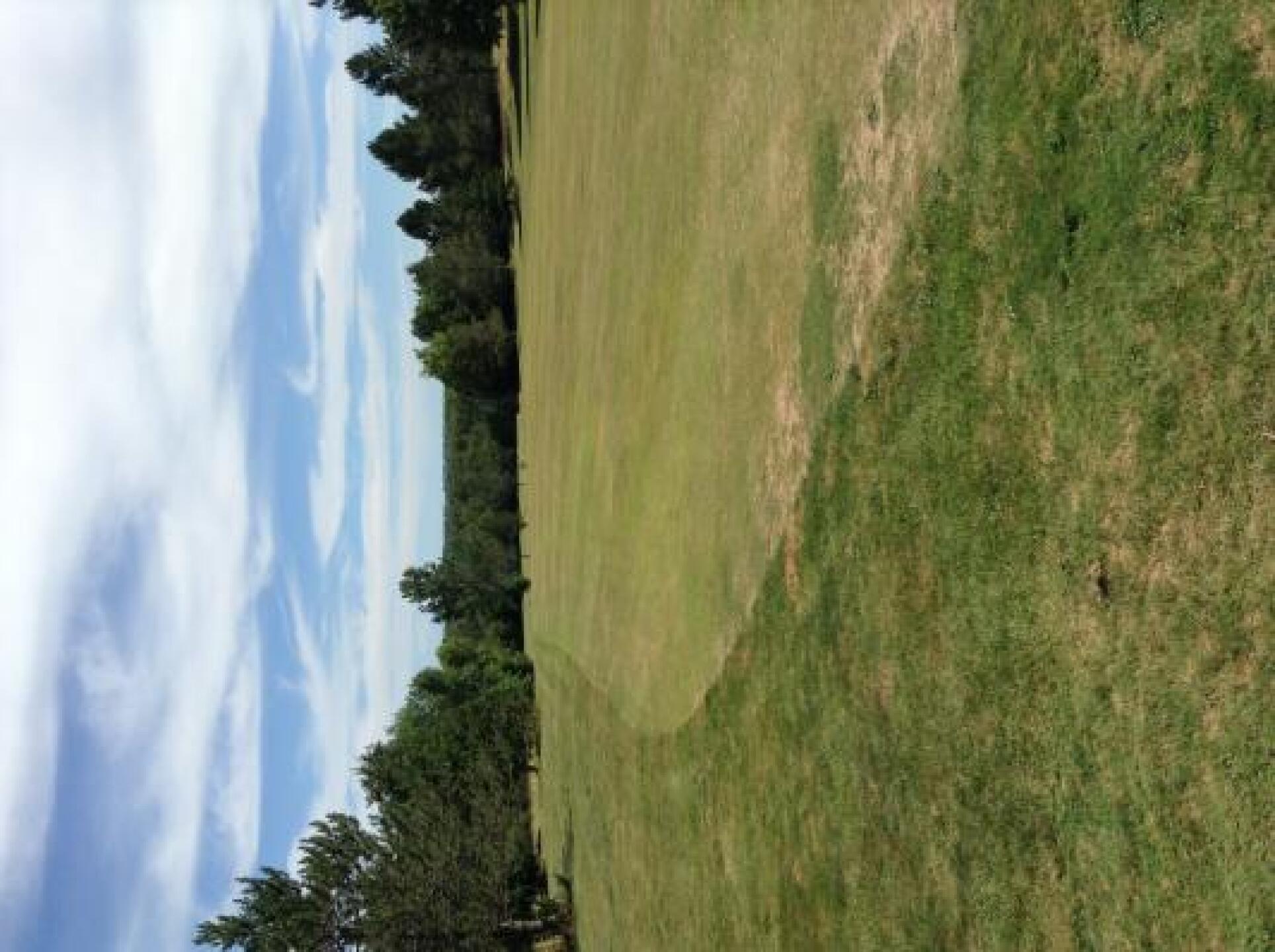 (Photo submitted by Jie7752195 on 07/27/2013)