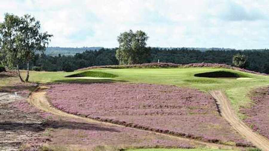 Hankley Common GC: #7