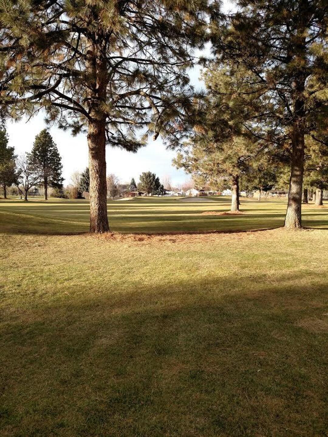 80% air, right? (Photo submitted by sorenj on 04/21/2017)