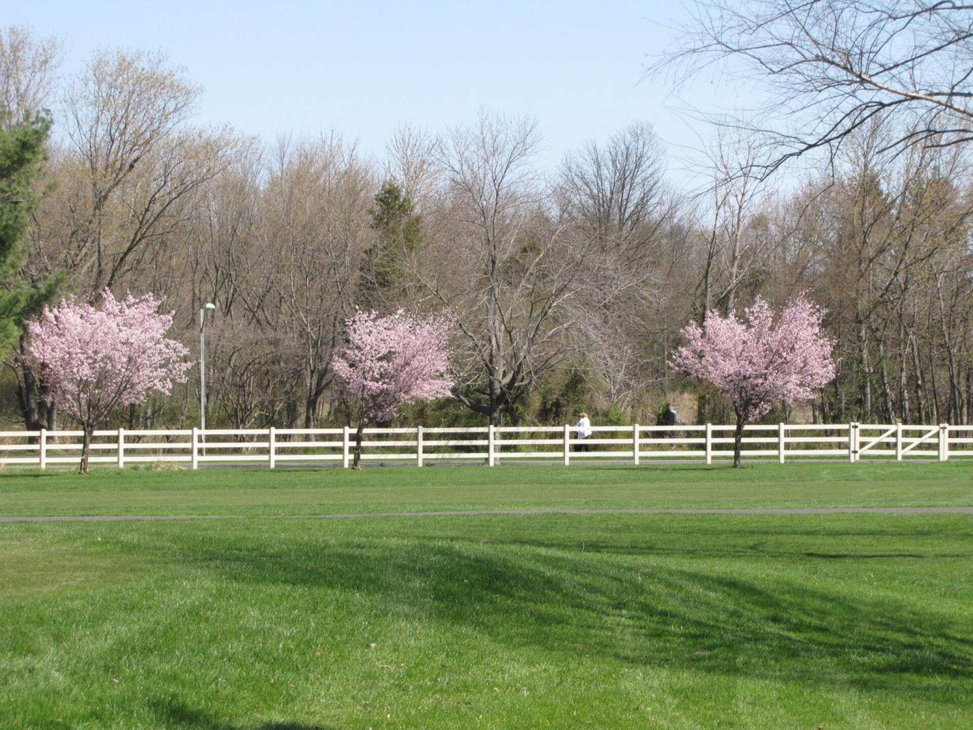 View from 16th fairway to Colonial Park across the pond (Photo submitted by neato50 on 04/21/2016)