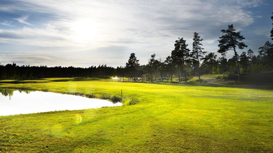 Ingaro GC - Forest