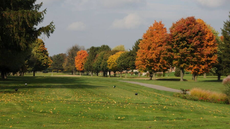 Briar Leaf GC