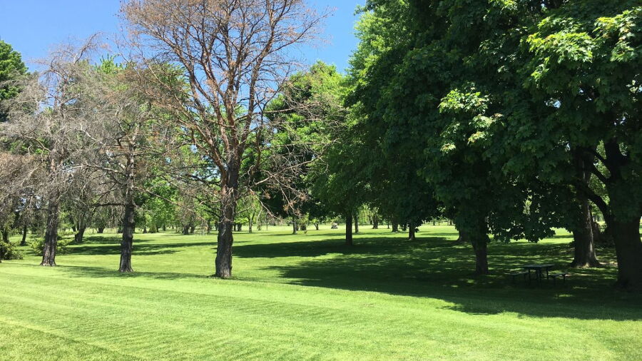 Royal Oak GC