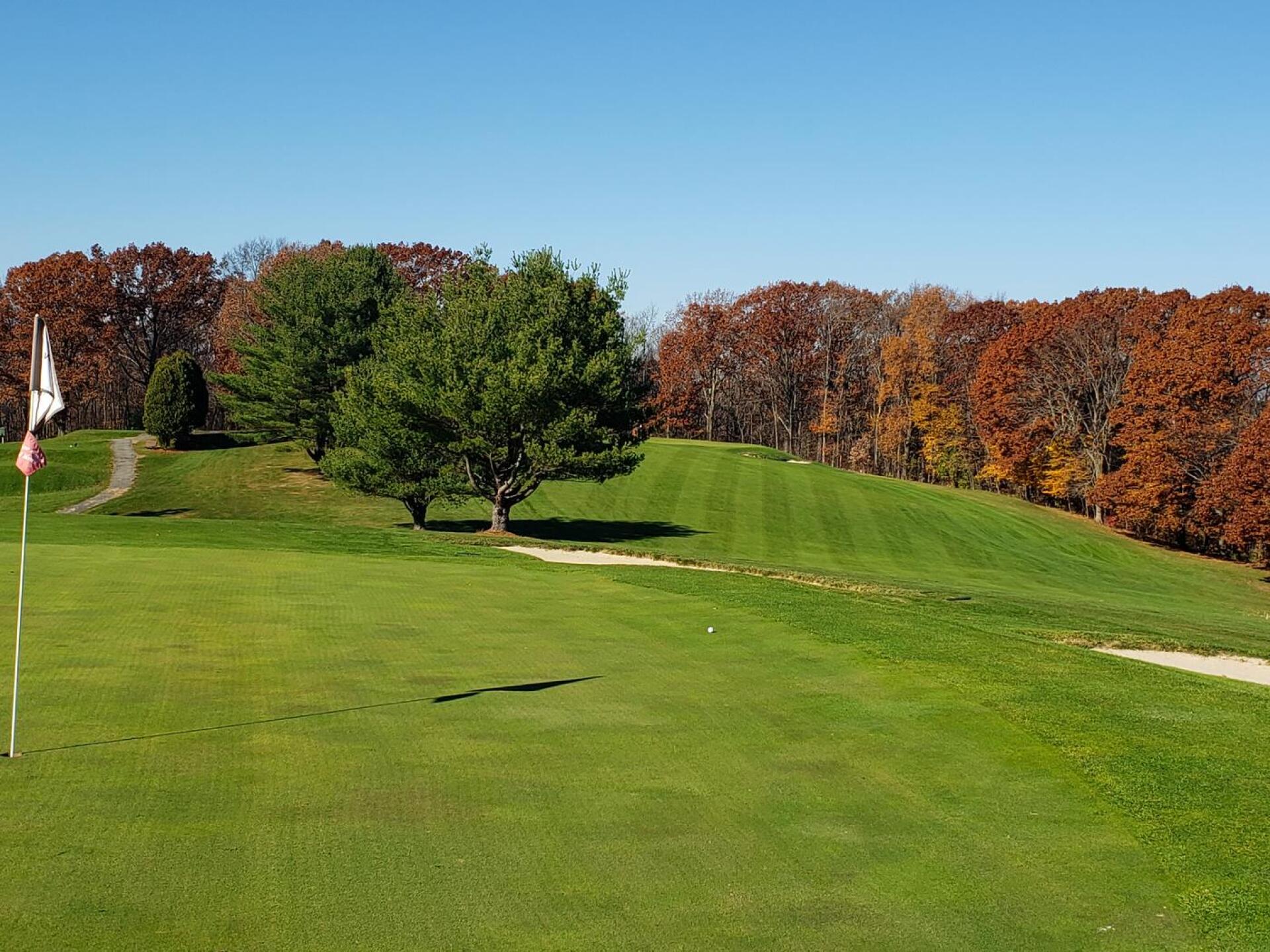 (Photo submitted by u000005994527 on 11/11/2020)