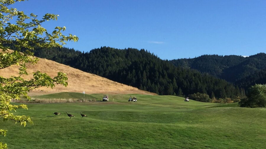 Cougar Canyon GC