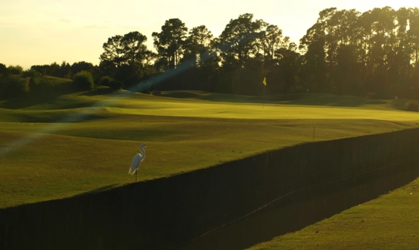 Grand Cypress New Course in Orlando - hole 1