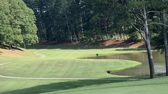 Arrowhead CC