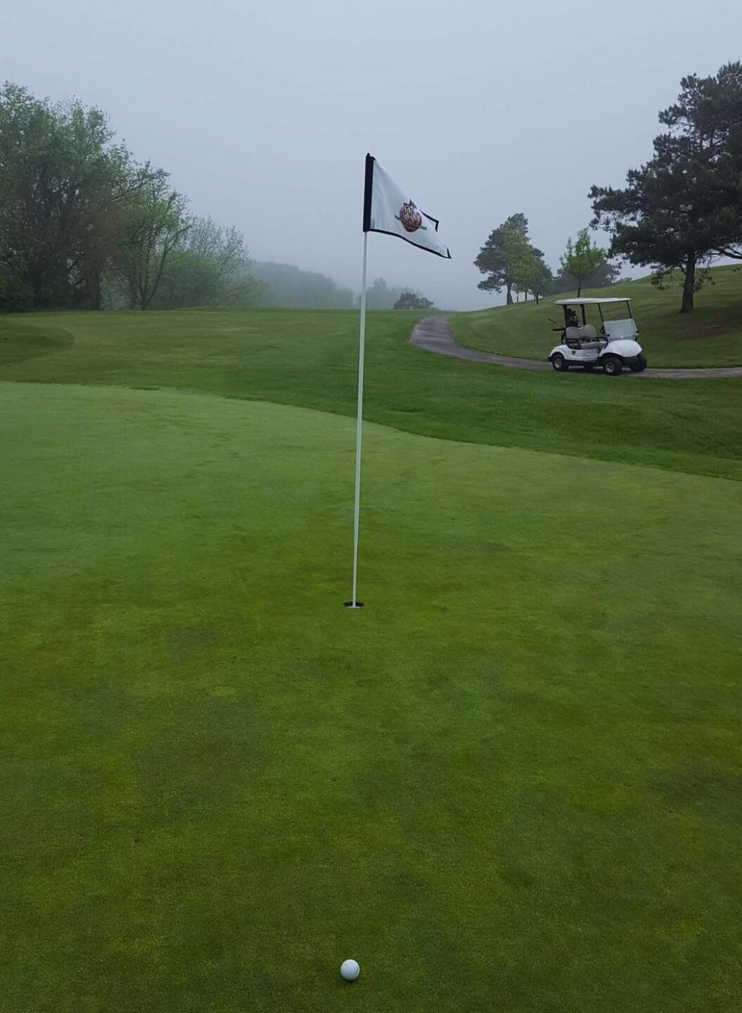 Hole 17, Par 3; View from the Green of a Hole-in-One Near Miss (Photo submitted by golfmandude on 05/14/2018)