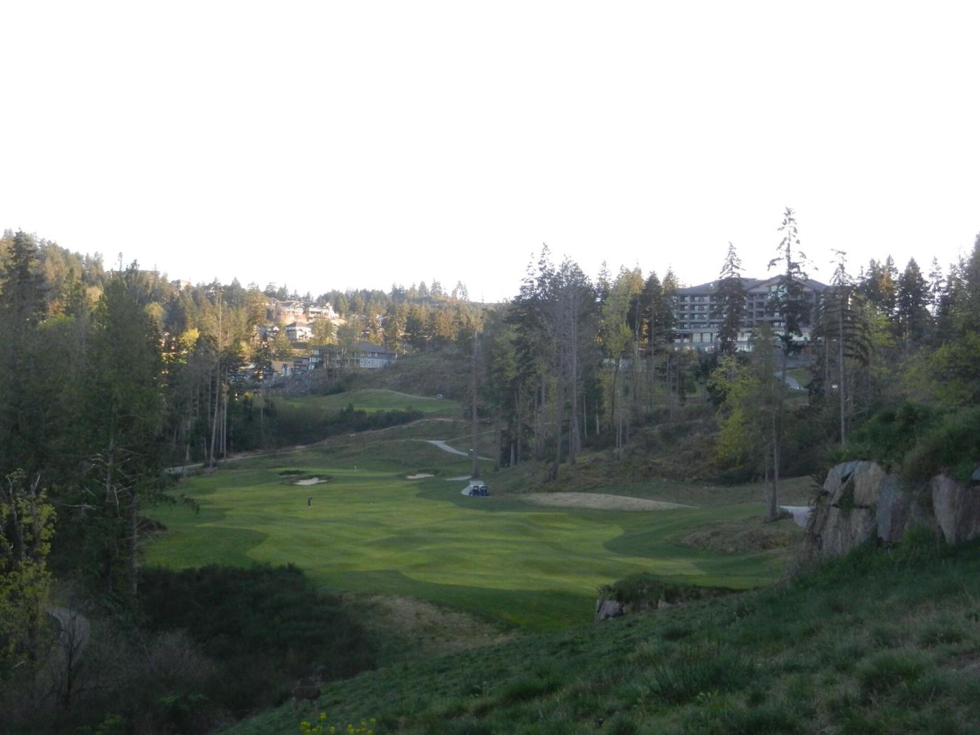 #18 (Photo submitted by huiesean on 04/04/2016)