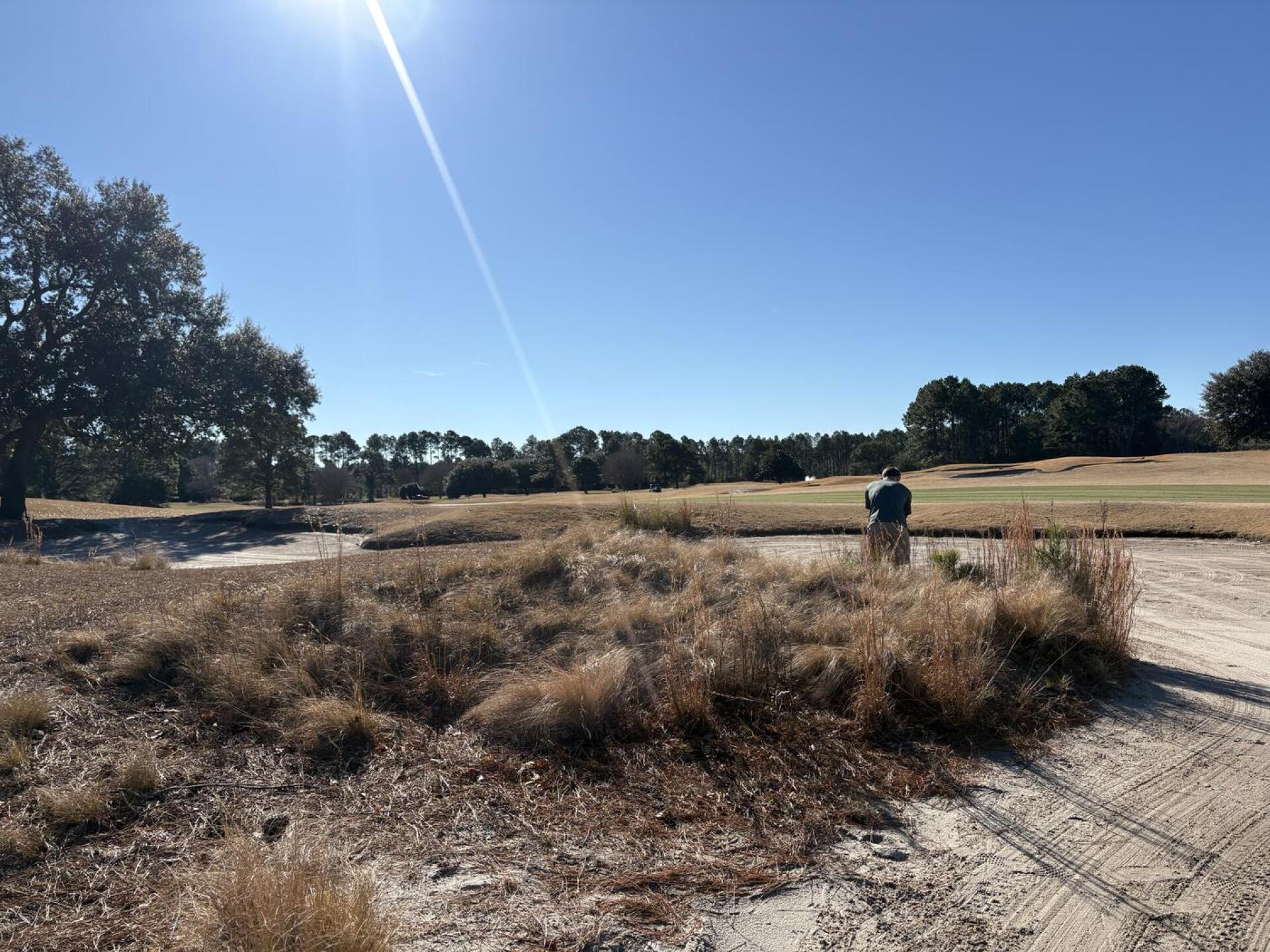 (Photo submitted by u245061479 on 12/24/2025)