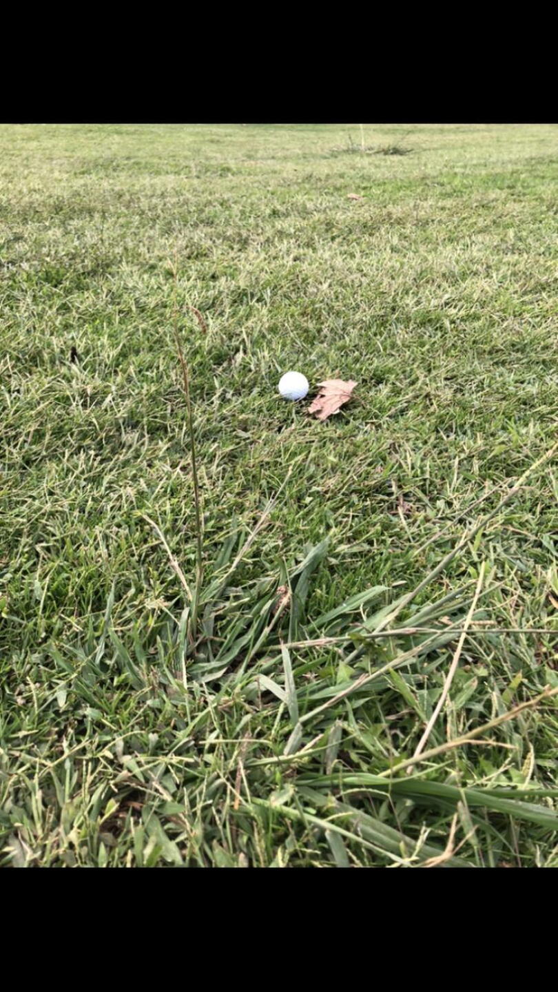 Hole 6 center fairway (Photo submitted by 6XhYnRrg7VUSIkbA34Z0 on 10/08/2020)