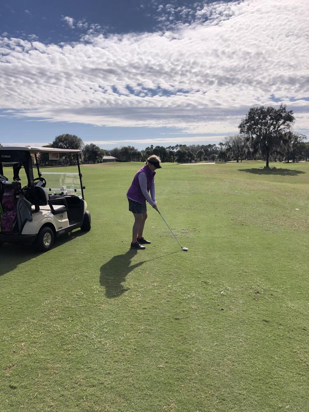 (Photo submitted by Jim4113463 on 01/04/2021)