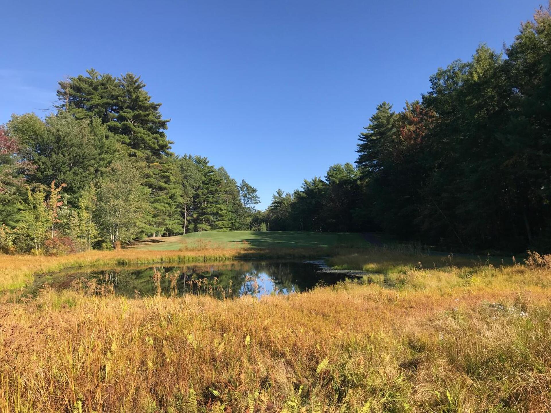 The dreaded pond on No. 13. (Photo submitted by JasonDeeganGA on 09/25/2019)