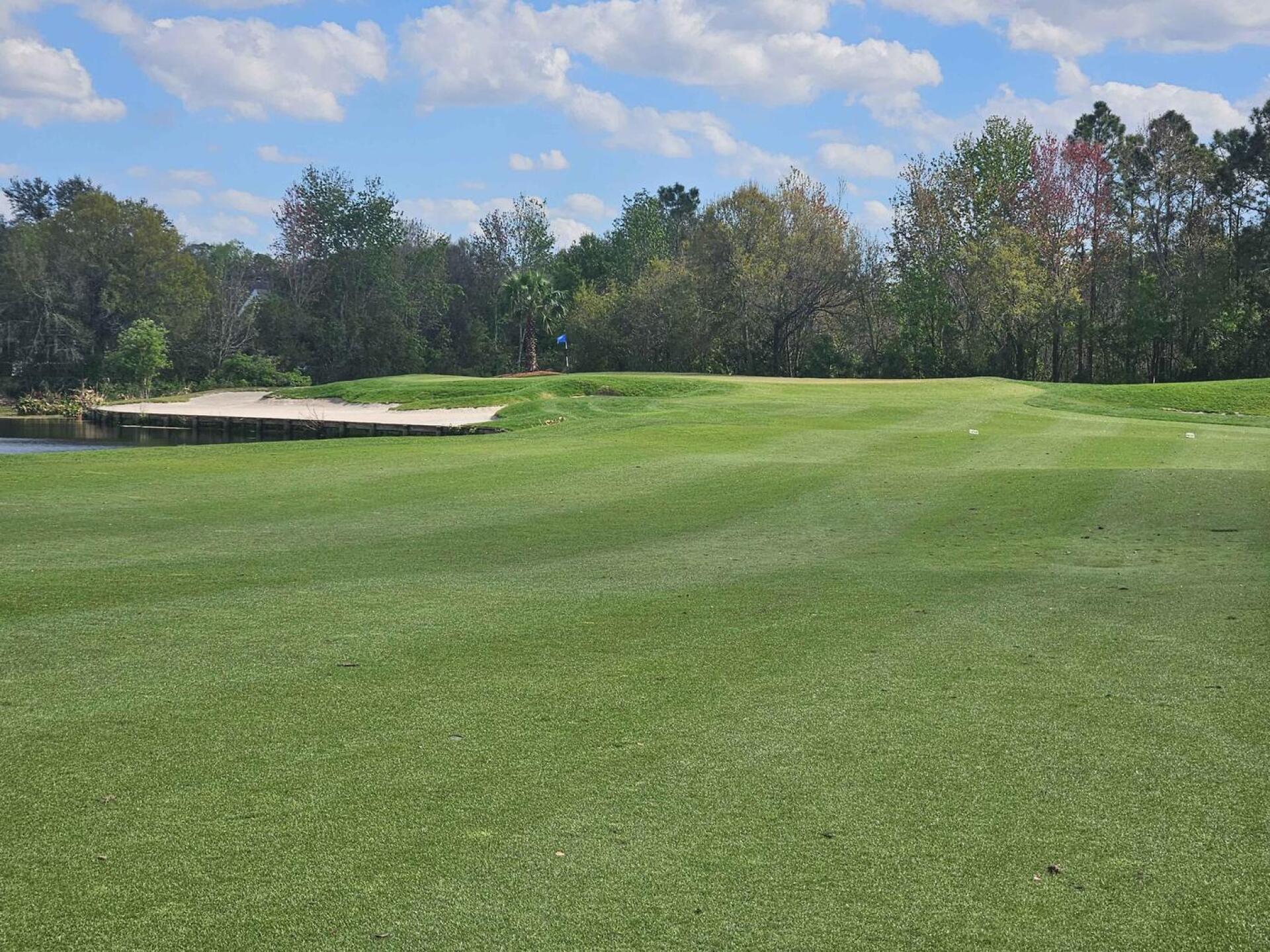 (Photo submitted by u314161622535 on 02/12/2025)