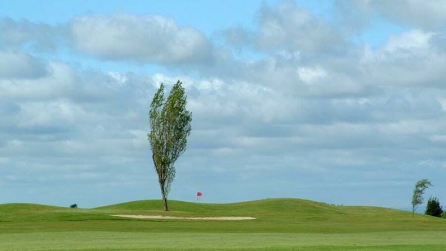 Charleville GC: #21