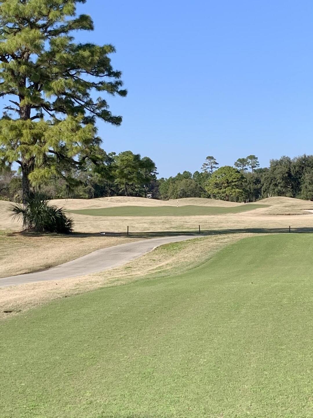 (Photo submitted by u314160107091 on 02/26/2021)