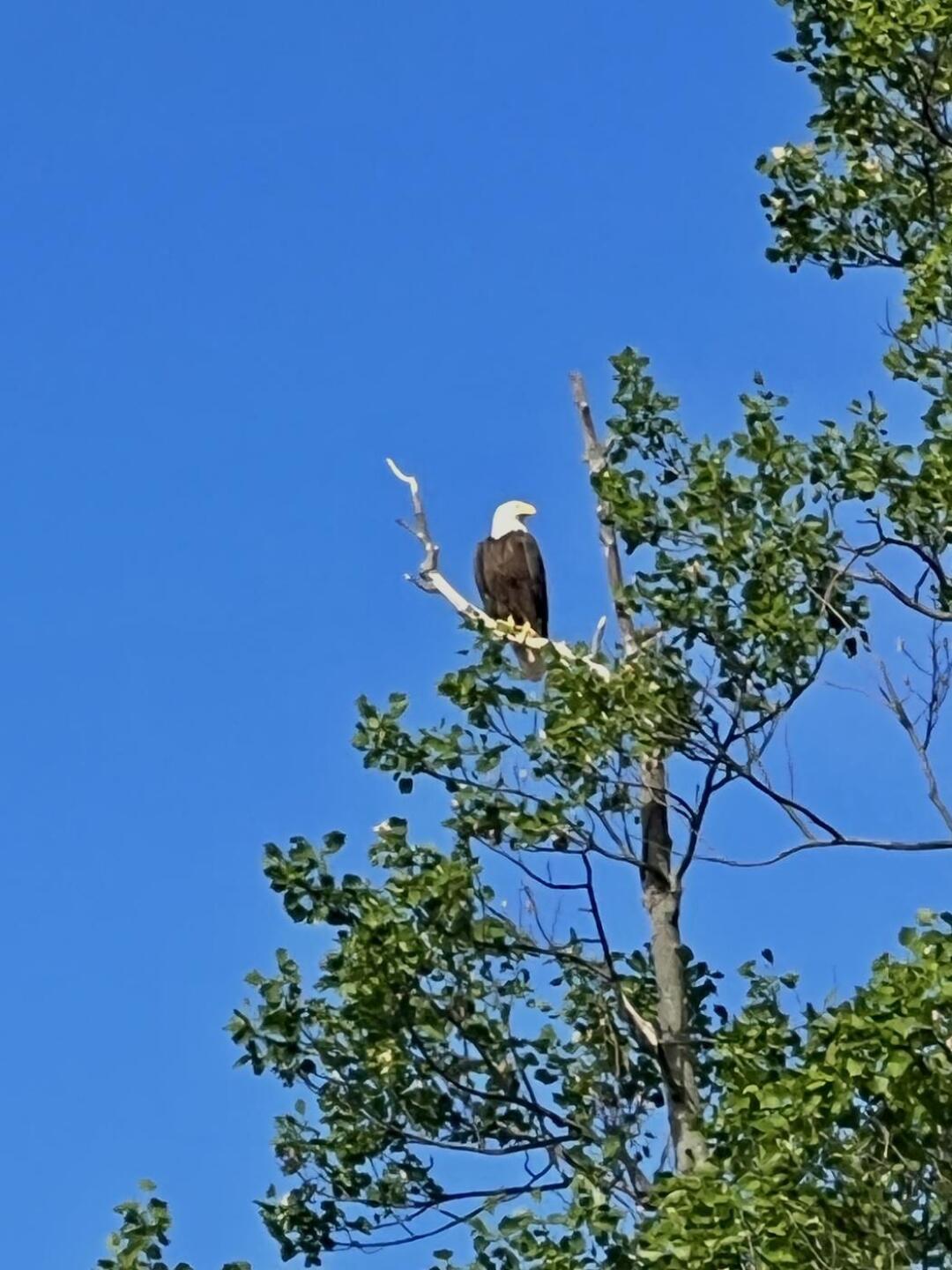 (Photo submitted by u314163560994 on 04/23/2023)