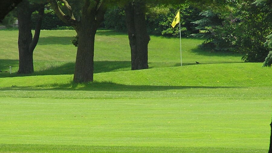 Sycamore GC