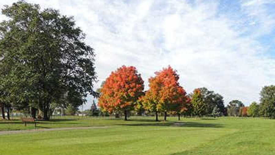 Green Oaks GC