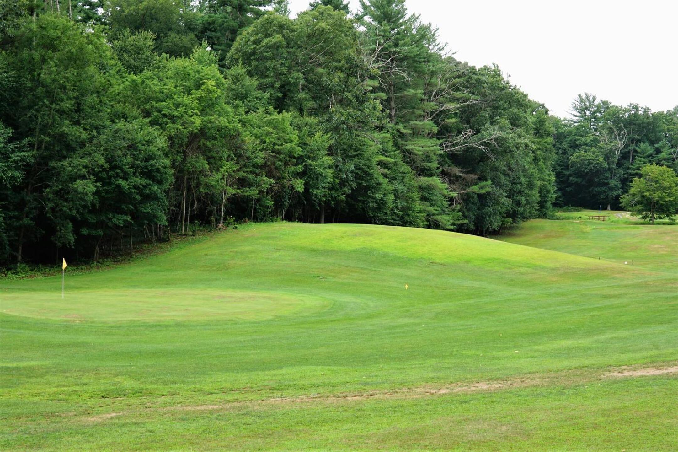 The second: The large mound hides the green from the teebox on this short par-4. Trying to drive the small green is a bit dangerous. (Photo submitted by AptlyLinked on 08/02/2022)