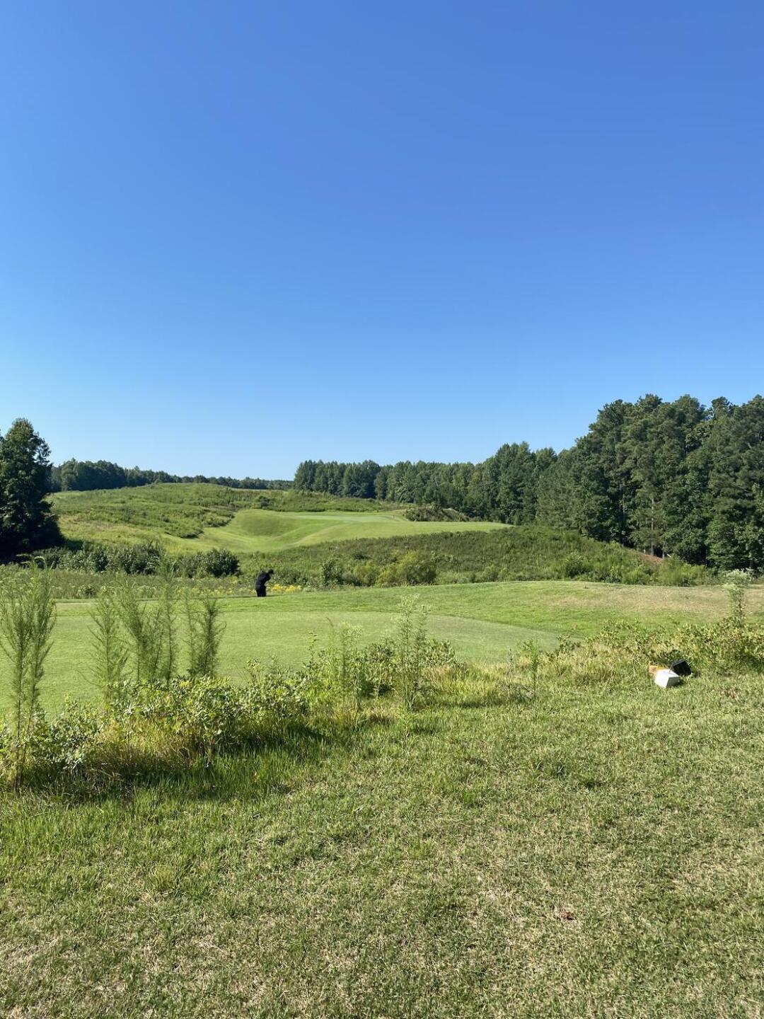 (Photo submitted by Pmurt on 08/23/2022)